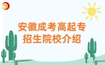 安徽成考高起專招生院校介紹
